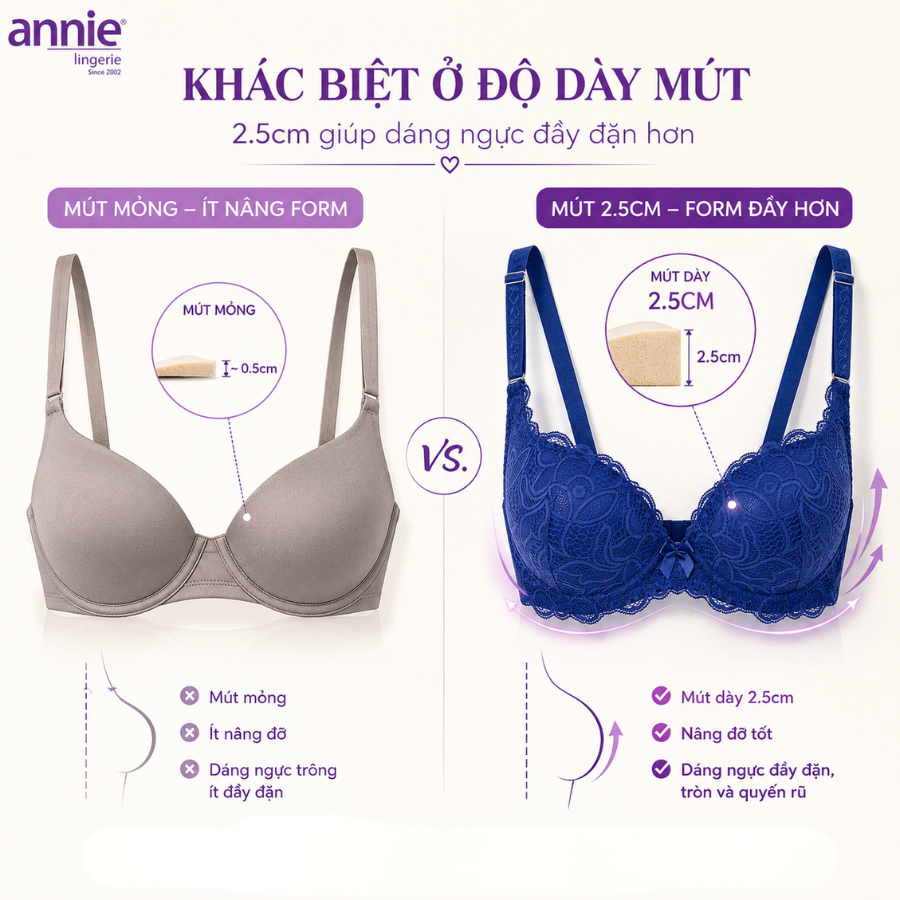 Áo ngực ren 3 móc tạo dáng lưng thon annie BRA8140, mút dày nâng ngực gợi cảm,sang trọng,thoáng mát