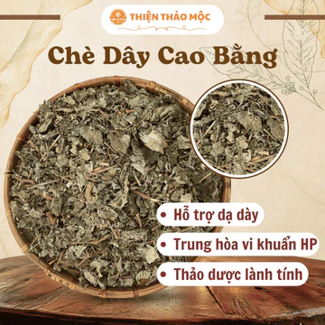 Chè Dây Cao Bằng (Trà Dây) Thiện Thảo Mộc (Khô Sạch) - Hỗ Trợ Đau Dạ Dày, Trào Ngược, Khuẩn HP