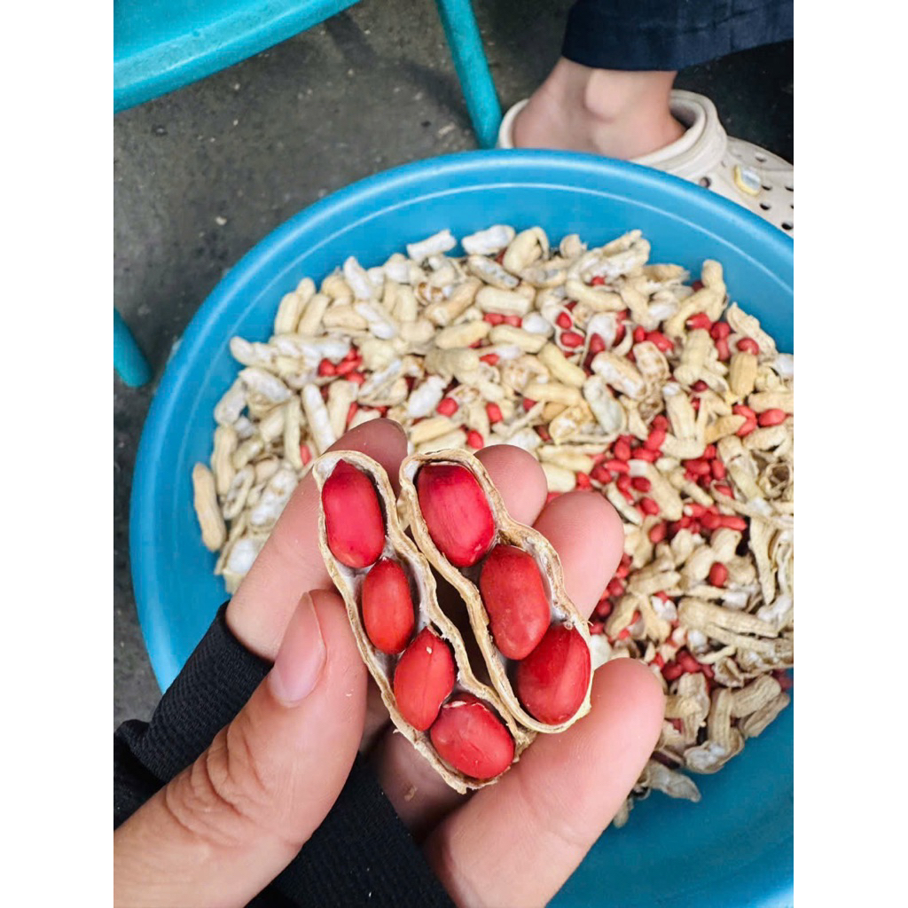 Lạc nhân đỏ Tây Bắc Thơm Bùi Ngọt túi 500gr Hút Chân Không