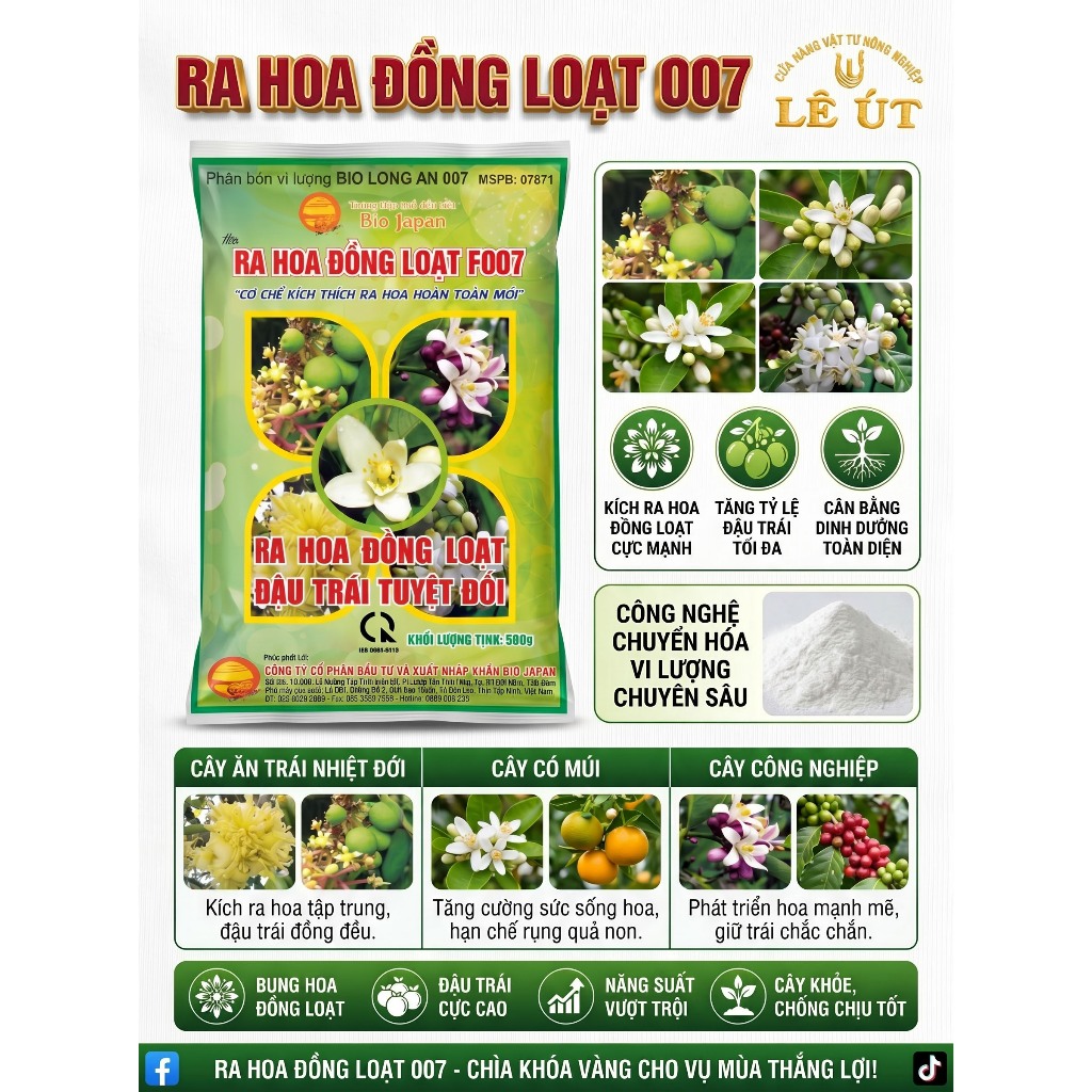 RA HOA ĐỒNG LOẠT thương hiệu quả cầu lửa