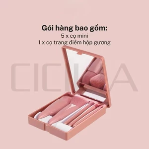 Set cọ trang điểm 05 cây kèm hộp đựng và gương soi cao cấp , Bộ cọ trang điểm - Phanhanh690