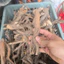 Rễ Rừng Khúc Gốc 100g