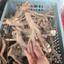 Rễ Rừng Khúc Gốc 100g