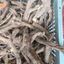 Rễ Rừng Khúc Gốc 100g