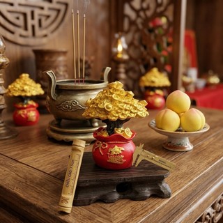 Cây Kim Tiền Cao Cấp Loại 1