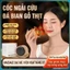 【Mở Bán Mua 1 Tặng 4】BÌNH CỨU NGẢI Mùi Gỗ Dễ Chịu DƯỠNG SINH TẠI NHÀ ĐÁ BIAN O124