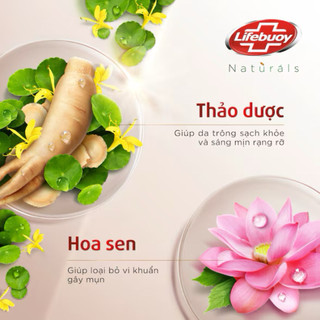 Sữa tắm Lifebuoy Sáng Da Thảo Dược & Hoa Sen 800g