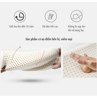 🌠NHẬP KHẨU🌠Gối Cao Su Thiên Nhiên Natural Chuẩn Y Khoa, Đàn Hồi Cao, Nằm Êm Ái - Chăn Ga Sỉ HCM