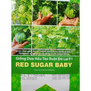 HẠT GIỐNG DƯA HẤU TÁO RUỘT ĐỎ RED SUGAR BABY