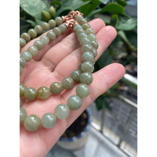 Hoà Điền thu hương 6+