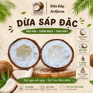 Dừa Sáp Đặc Arifarm _ Đặc Bi Size Nhỏ - Cơm dày béo dẻo
