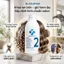 Bộ Thuốc Uốn Lạnh Dr.EDUPHAR Smart Cold Perm Số 1 & 2 450ml/Chai | Tạo Lọn, Giữ Nếp, Phù Hợp Salon.