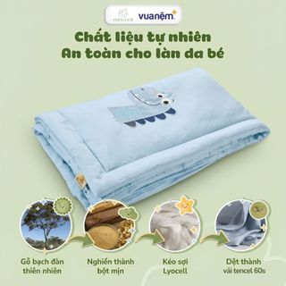 Chăn gối cho bé mầm non 6CT Vua Nệm Goodnight Bebe, Gối ngủ, chăn hè cho bé Tencel thoáng mát mùa hè