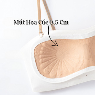 Combo 2 Áo Ngực Su Nữ Lỗ Thoáng Không Gọng Ôm V1, Áo Lót Co Dãn Tốt Bảng To Che Khuyết Điểm King Shop A-979