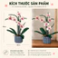 Bộ Lắp Ghép Hoa Lan Hồ Điệp 728 Mảnh Ghép Mô Hình Hoa Trang Trí Để Bàn Quà Tặng Sáng Tạo DIY