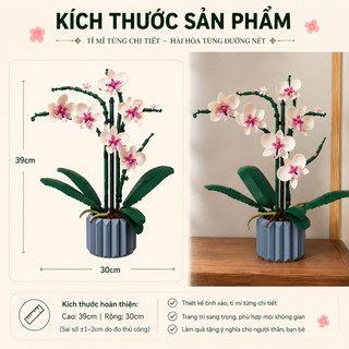 Bộ Lắp Ghép Chậu Hoa Lan Hồ Điệp Mini DIY, Mô Hình Hoa Trang Trí Để Bàn Qùa Tặng Người Thân