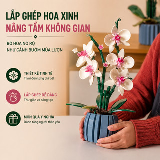 Bộ Lắp Ghép Chậu Hoa Lan Hồ Điệp Mini DIY, Mô Hình Hoa Trang Trí Để Bàn Qùa Tặng Người Thân