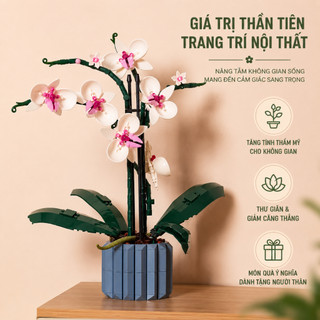 Bộ Lắp Ghép Chậu Hoa Lan Hồ Điệp Mini DIY, Mô Hình Hoa Trang Trí Để Bàn Qùa Tặng Người Thân
