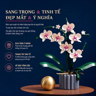 Bộ Lắp Ghép Chậu Hoa Lan Hồ Điệp Mini DIY, Mô Hình Hoa Trang Trí Để Bàn Qùa Tặng Người Thân