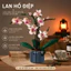 Bộ Lắp Ghép Hoa Lan Hồ Điệp 728 Mảnh Ghép Mô Hình Hoa Trang Trí Để Bàn Quà Tặng Sáng Tạo DIY