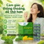 Viên uống EUROGINCA VÀNG 100V hỗ trợ giúp giảm ho, long đờm, giảm ho do thay đổi thời tiết