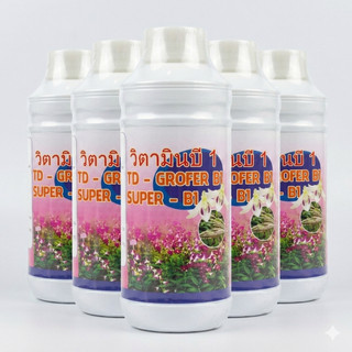 Super B1 Grofer TD 1 Lít – B1 Grofer Thái Lan - B1 Trắng Thái Lan - Phân Bón Dưỡng Rễ Thái Lan