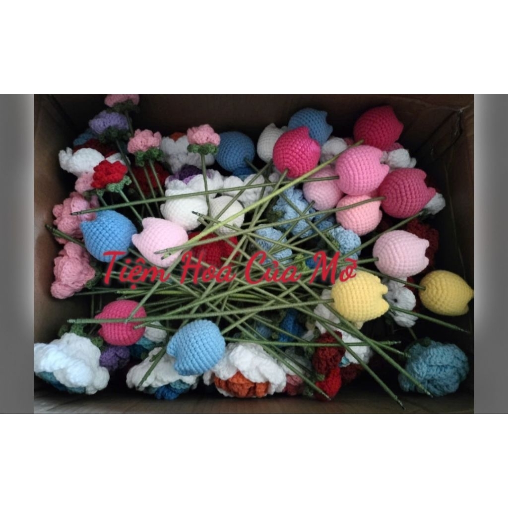 Hoa Tulip Len, Bó Hoa Tulip Tròn , Bó Hoa Tốt Nghiệp, Hoa Tulip Len Handmade