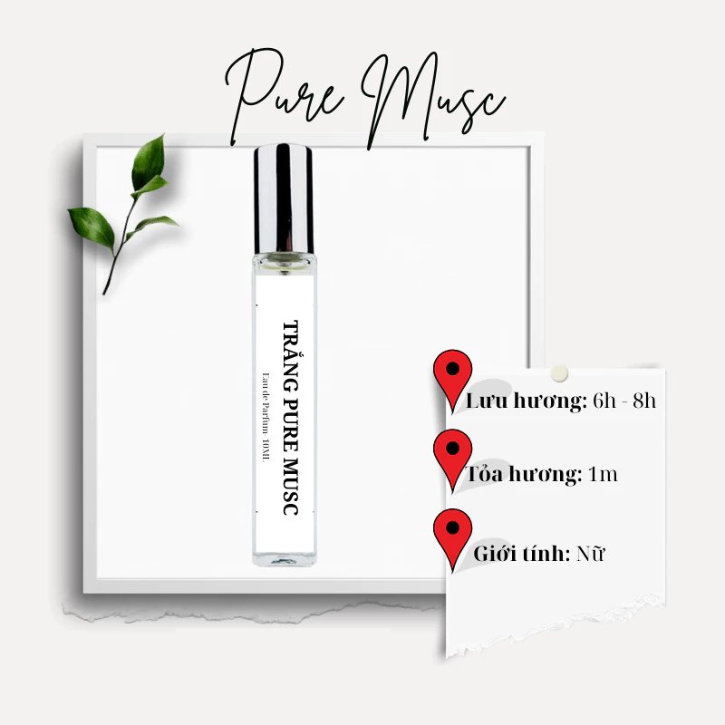 Nước hoa Trắng Pure Musc - Nước hoa Nữ hương Quyến rũ, thanh lịch, nữ tính