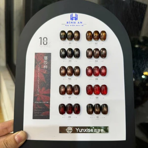 Set Sơn Gel Mắt Mèo Yunxise 10 Màu, Chất Gel Đẹp, Em Sẵn 6 Tone Màu [ Bình An ]