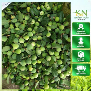 Trâu Cổ Nếp (Vương Bất Lưu Hành) Quả Xanh Đặc Ruột | Hàng Đẹp Thơm Tự Nhiên Tặng Táo Đỏ Kỷ Tử