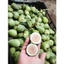 Trâu Cổ Nếp (Vương Bất Lưu Hành) Quả Xanh Đặc Ruột | Hàng Đẹp Thơm Tự Nhiên Tặng Táo Đỏ Kỷ Tử