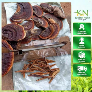Nấm Linh Chi Rừng (Hồng Chi Thái Lát) | Thơm Đậm Tự Nhiên Hàng Đẹp Thái Tay Không Vụn 500gr