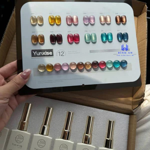 Set Sơn Gel Mắt Mèo Yunxise 12 Màu, Tone Màu Đẹp,Tặng Kèm Bảng [ Bình An ]