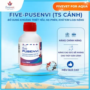 Dung Dịch Khoáng Cho Cá Cảnh Giữ Màu Đẹp FIVEVET – Five-Pusenvi TS Cảnh