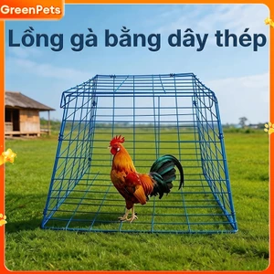 Lồng Gà Dây Thép Sơn Tĩnh Điện, Lồng Gà Chọi Gà Tre Gấp Gọn Nuôi Ngoài Trời