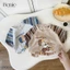 Bộ cotton tay raglan phối kẻ goodboy, bộ cotton quần kaki hàng Bernie mẫu mới nhất