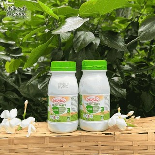 Lốc 6 Chai Sữa Dinh Dưỡng Tăng Trưởng Hữu Cơ Babybio 250ml Cho Bé 10-36 Tháng Tuổi - Natural Market