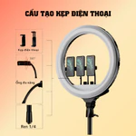 Đèn Livestream Quay Video Chụp Ảnh RL18 45CM -- Giải Pháp Ánh Sáng Cho Người Mới Bán Hàng Online Và Sáng Tạo Nội Dung — ảnh 6