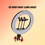 Đèn Livestream Quay Video Chụp Ảnh RL18 45CM -- Giải Pháp Ánh Sáng Cho Người Mới Bán Hàng Online Và Sáng Tạo Nội Dung — ảnh 8