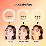 Đèn Livestream Quay Video Chụp Ảnh RL18 45CM -- Giải Pháp Ánh Sáng Cho Người Mới Bán Hàng Online Và Sáng Tạo Nội Dung — ảnh 4