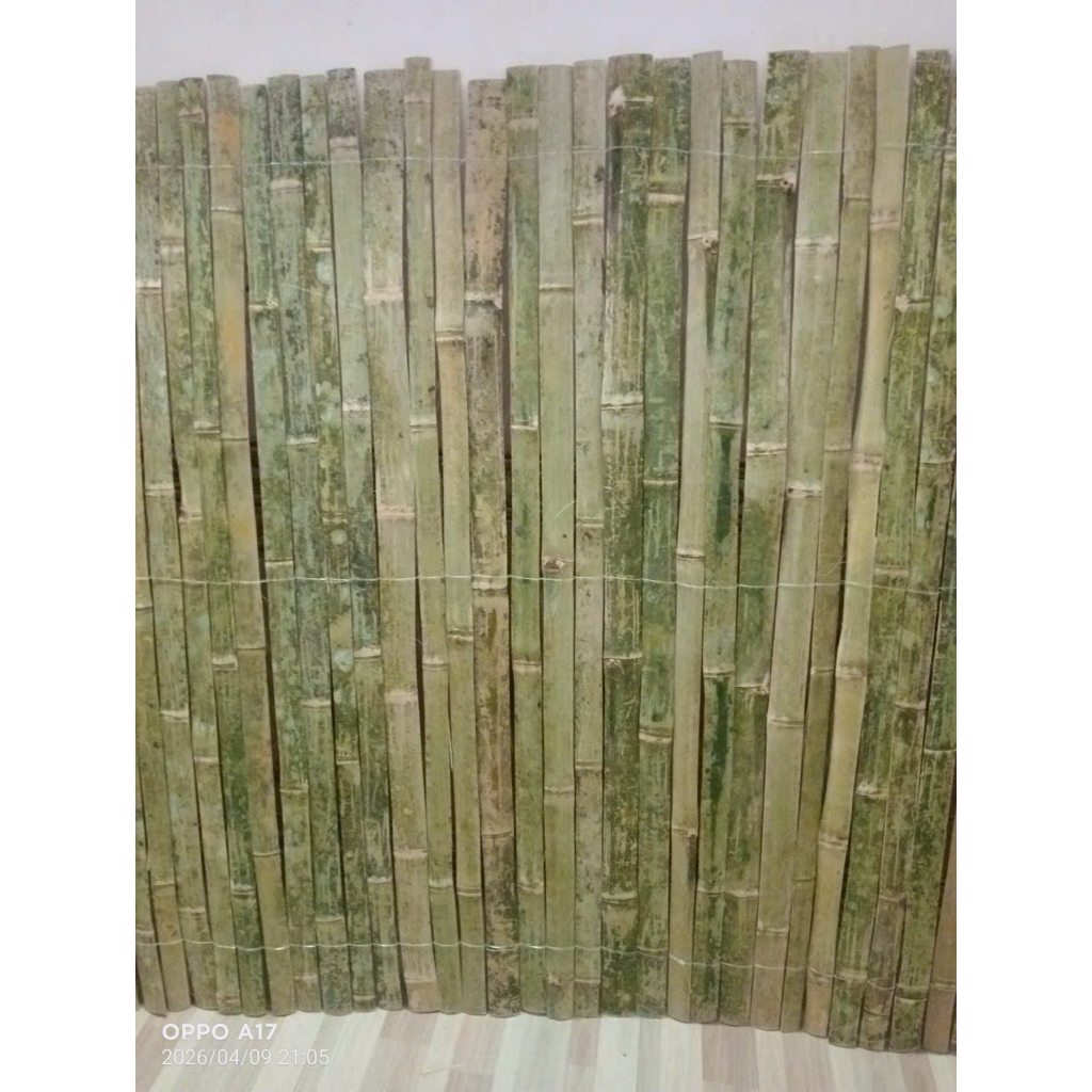 Combo 100 Thanh Tre2-3cm x 1m Làm Hàng Rào Tự Nhiên – Tre Già Chắc Chắn – Dài 1m Đến 2m – Trang Trí Sân Vườn, Quán Cafe
