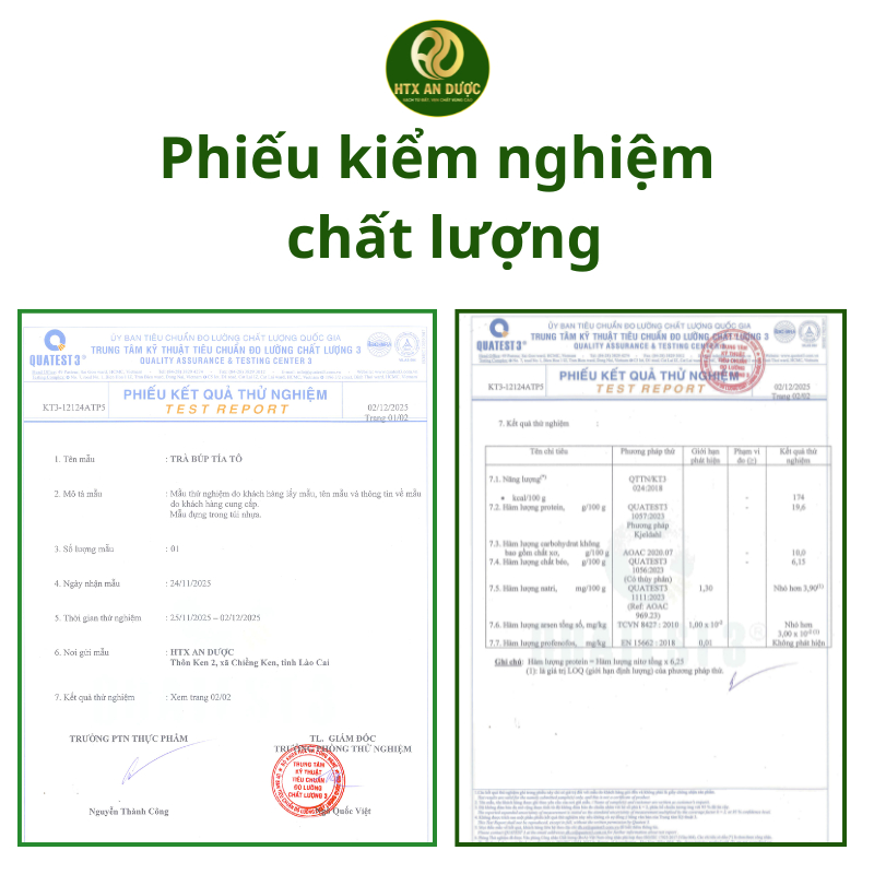 TRÀ TÍA TÔ (trà sao, trà búp), trà thiên nhiên 60g