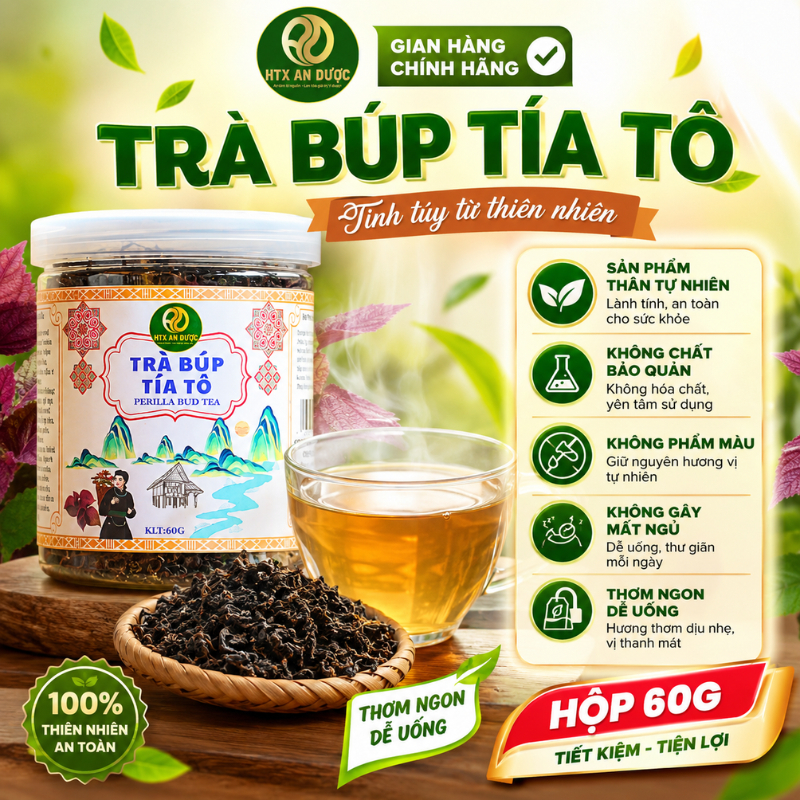 TRÀ BÚP TÍA TÔ AN DƯỢC - TRÀ SAO TÍA TÔ