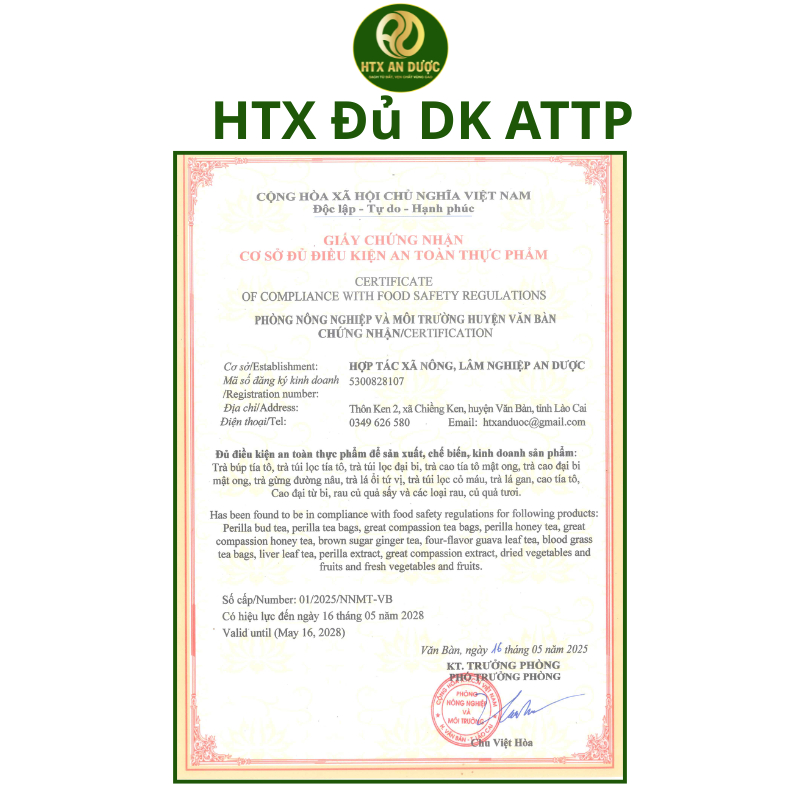 TRÀ BÚP TÍA TÔ AN DƯỢC - TRÀ SAO TÍA TÔ
