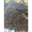 Đất hữu cơ (1kg) ủ tự nhiên lâu năm từ thân, lá cây mục, trùn đất tự nhiên, đất tơi xốp, nhiều dinh dưỡng