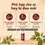 Dầu Thảo Dược Xoa Bóp MẬT GẤU ĐỎ 100 ML Giảm Căng Cơ, Làm Ấm, Thoải Mái Khi Vận Động