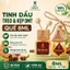 Tinh dầu vỏ quế treo, kẹp cửa gió oto DMT, tinh dầu vỏ quế nguyên chất, thơm xe, thơm nhà 8ml