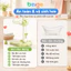 Ghế Tắm Cho Bé Beige, Thiết Kế Đa Năng, Tắm Gội, Thay Bỉm, Vệ Sinh, Có Thể Điều Chỉnh Độ