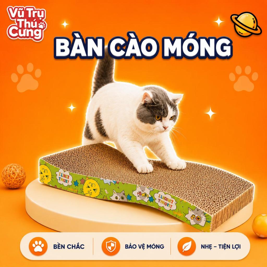Đồ Chơi Bàn Cào Móng Carton Cho Mèo Thư Giãn