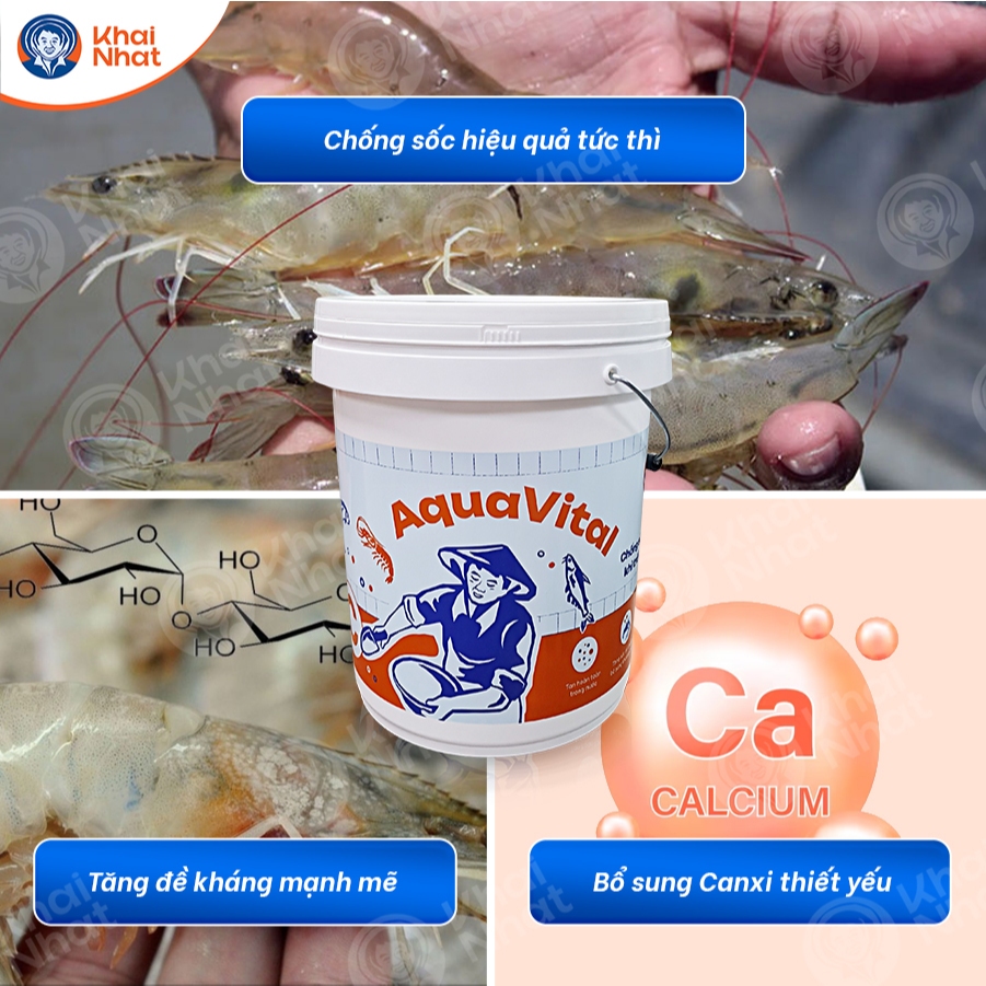 Vitamin C tạt chống stress, chống sốc nhiệt cấp tốc - Dùng trong nuôi Tôm, Cá,...Thủy sản (5kg/xô)